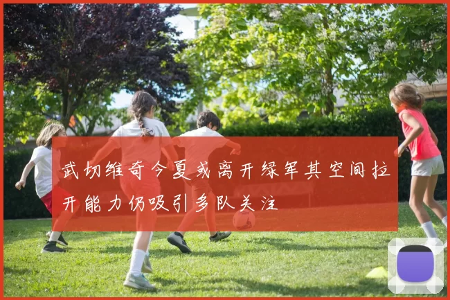 武切维奇今夏或离开绿军其空间拉开能力仍吸引多队关注